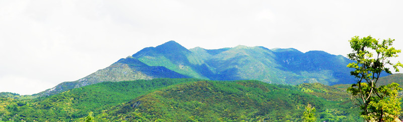 青山 大山