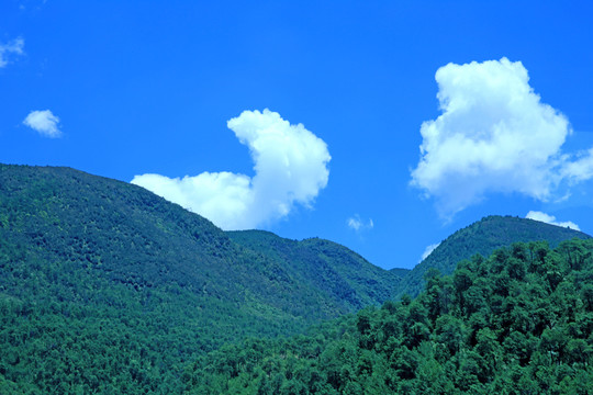 大山 青山