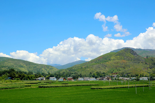 云南山區(qū)田園風(fēng)光
