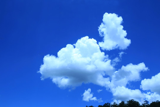 藍(lán)藍(lán)的天上白云飄