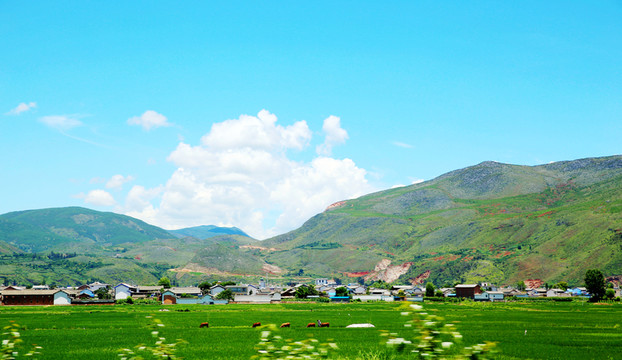 山下田園風(fēng)光