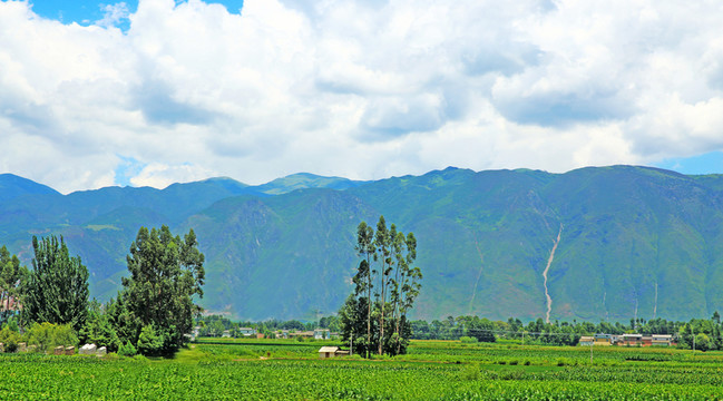 大山田野風(fēng)光
