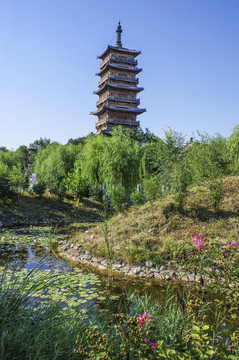 槐樹(shù)莊公園