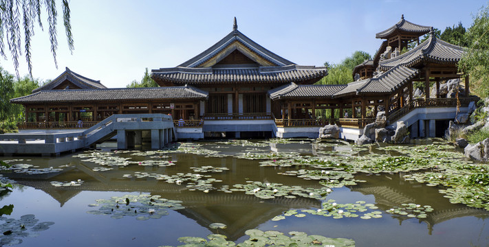 槐樹莊公園