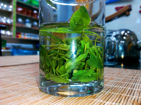 鐵觀音茶湯