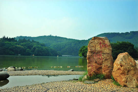 深圳仙湖植物園仙湖