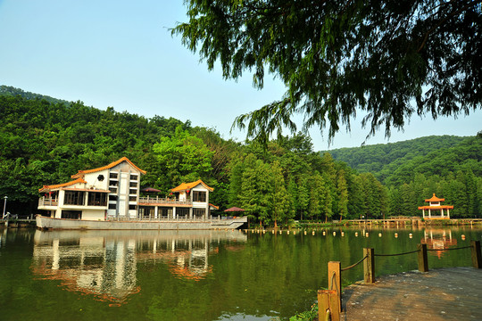 深圳仙湖植物園石船和亭子