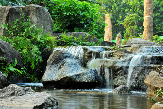 深圳仙湖植物園清水流水