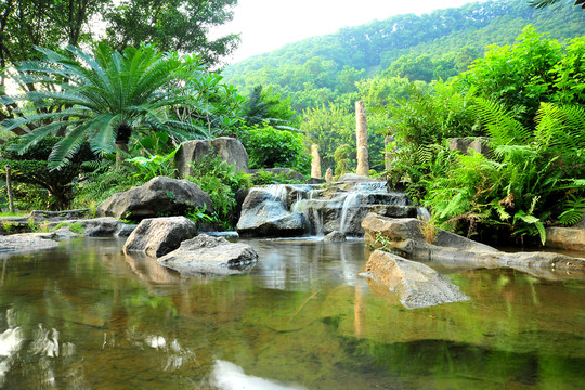 深圳仙湖植物園清水流水