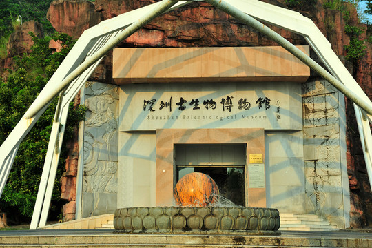 深圳仙湖植物園深圳古生物博物館