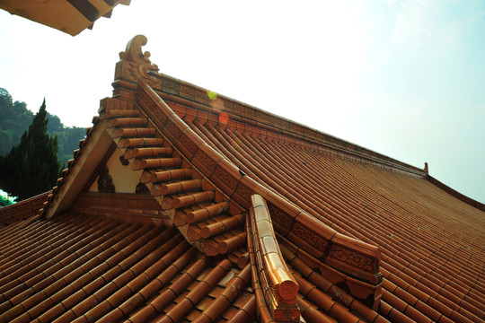 深圳仙湖公園弘法寺廟