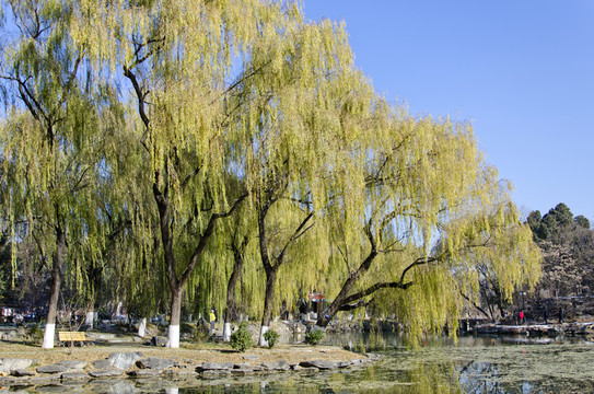 北大未名湖