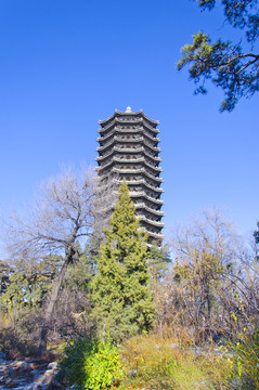 北大未名湖