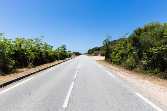 科西嘉島公路