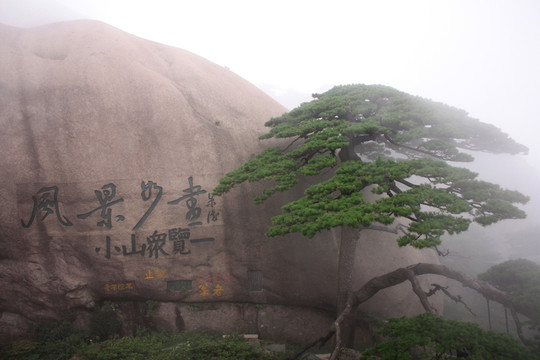 黃山 云海 怪石 石頭 山頂