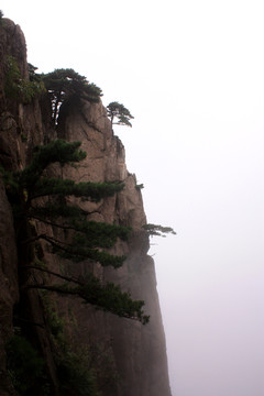 黃山 云海 怪石 石頭 山頂
