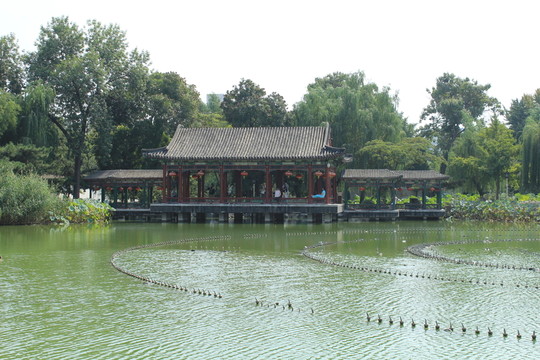 紅樓夢(mèng) 藕香榭