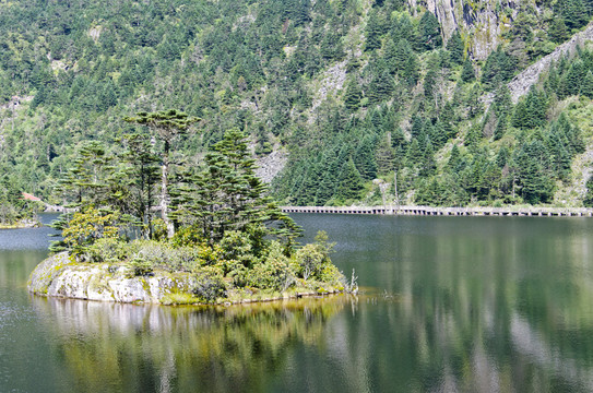 高山濕地