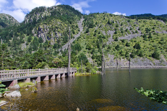 高原濕地全景圖