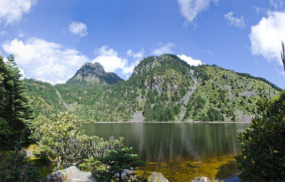 高原濕地全景圖