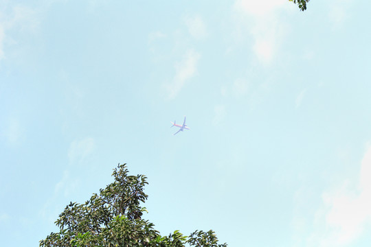 飛機(jī)