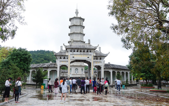 大垌山 陽(yáng)西