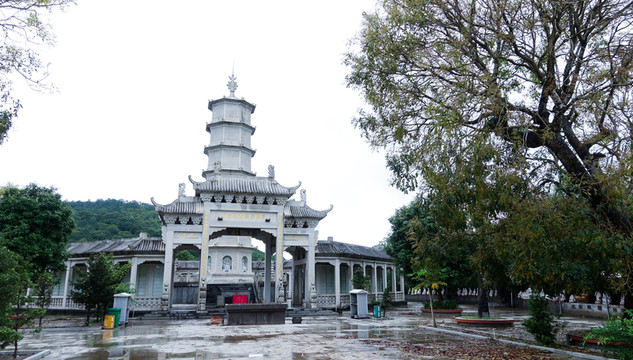 大垌山 陽(yáng)西