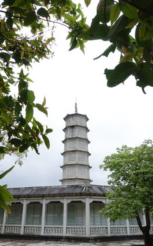 大垌山 陽(yáng)西