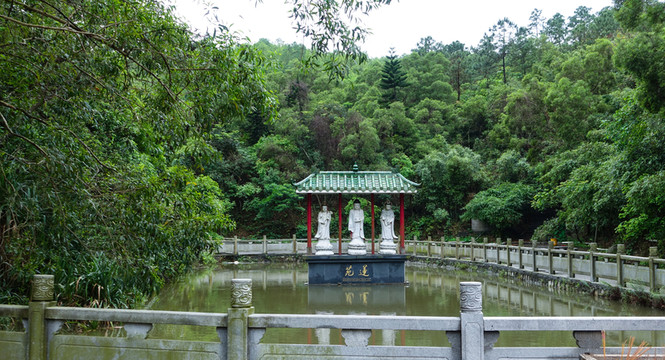大垌山 陽(yáng)西