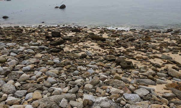 青洲島 海島 海景