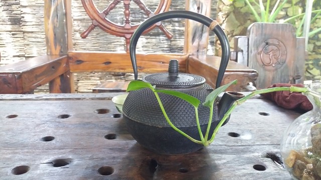 老船木茶具