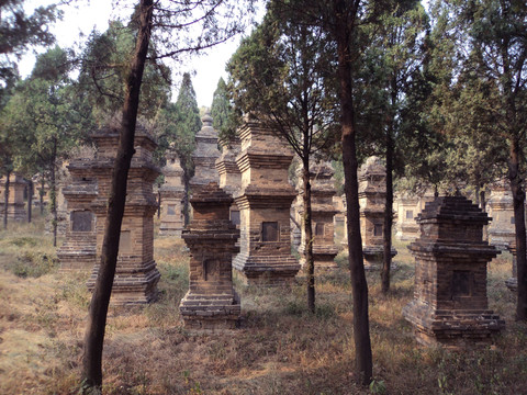 少林寺塔林