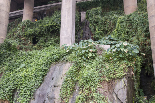 污水溝