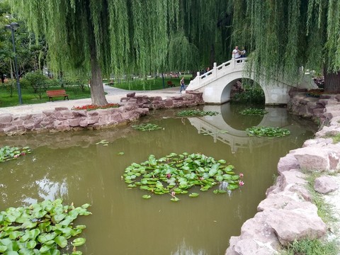 公園