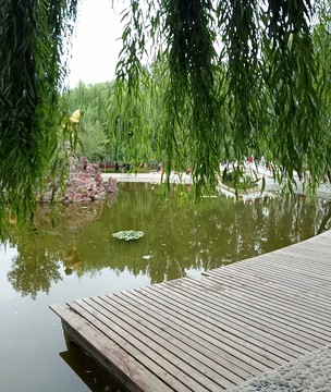 公園
