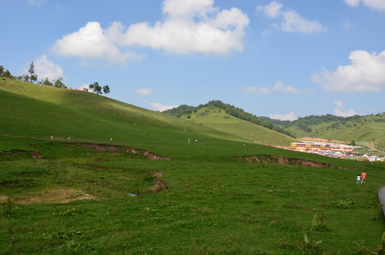 關(guān)山草原