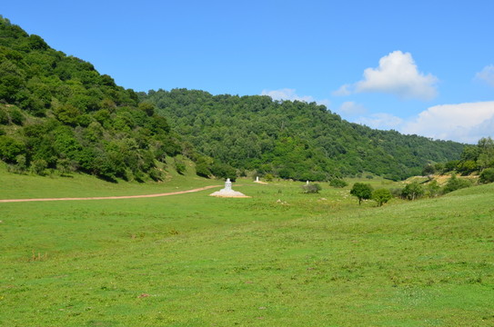 關(guān)山草原