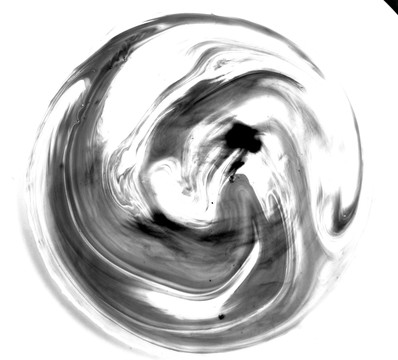 水墨抽象 鳳凰