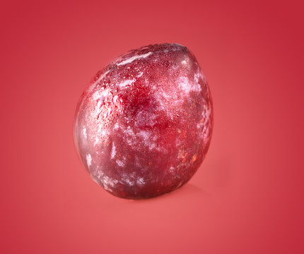 李子