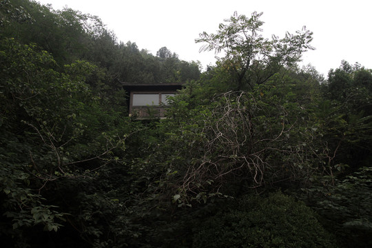 龍門石窟