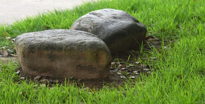 觀賞石頭