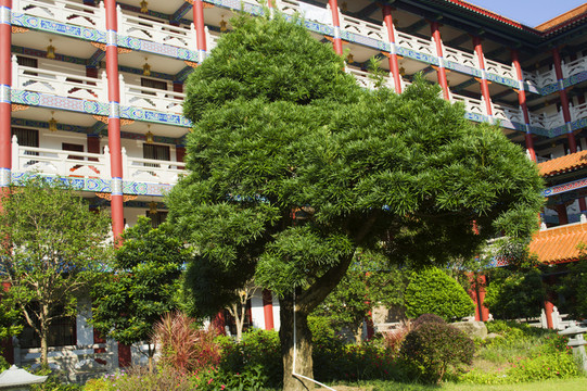 寺廟住所
