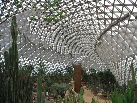 植物園內(nèi)景