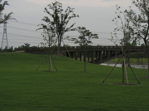 綠地草坪