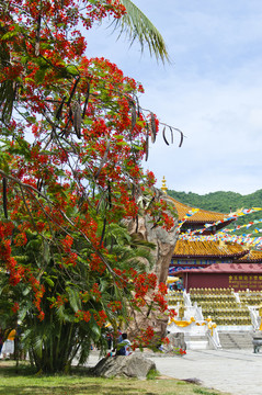 經(jīng)幡寺廟