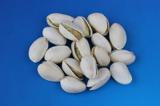 開心果
