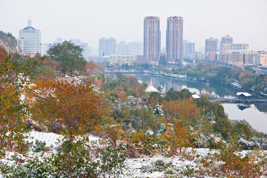 城市雪景