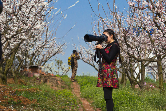 李子花