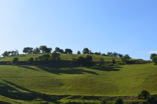 關(guān)山草原
