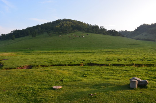 關(guān)山草原
